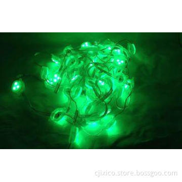 Single Color DC12V 5050 SMD LED Pixel Light For Bridge Deco